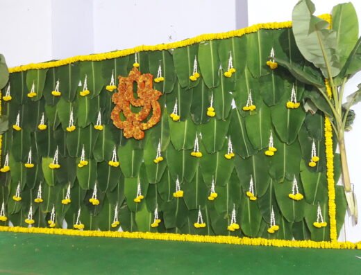 Pellikuthuru Backdrop 12