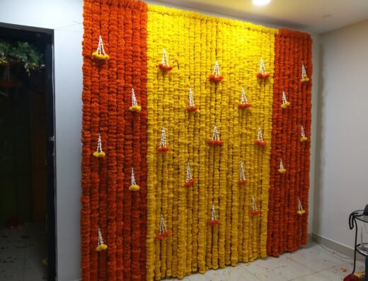 Pellikuturu Backdrop 24