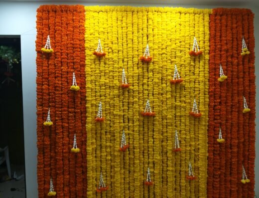 Pellikuturu Backdrop 24